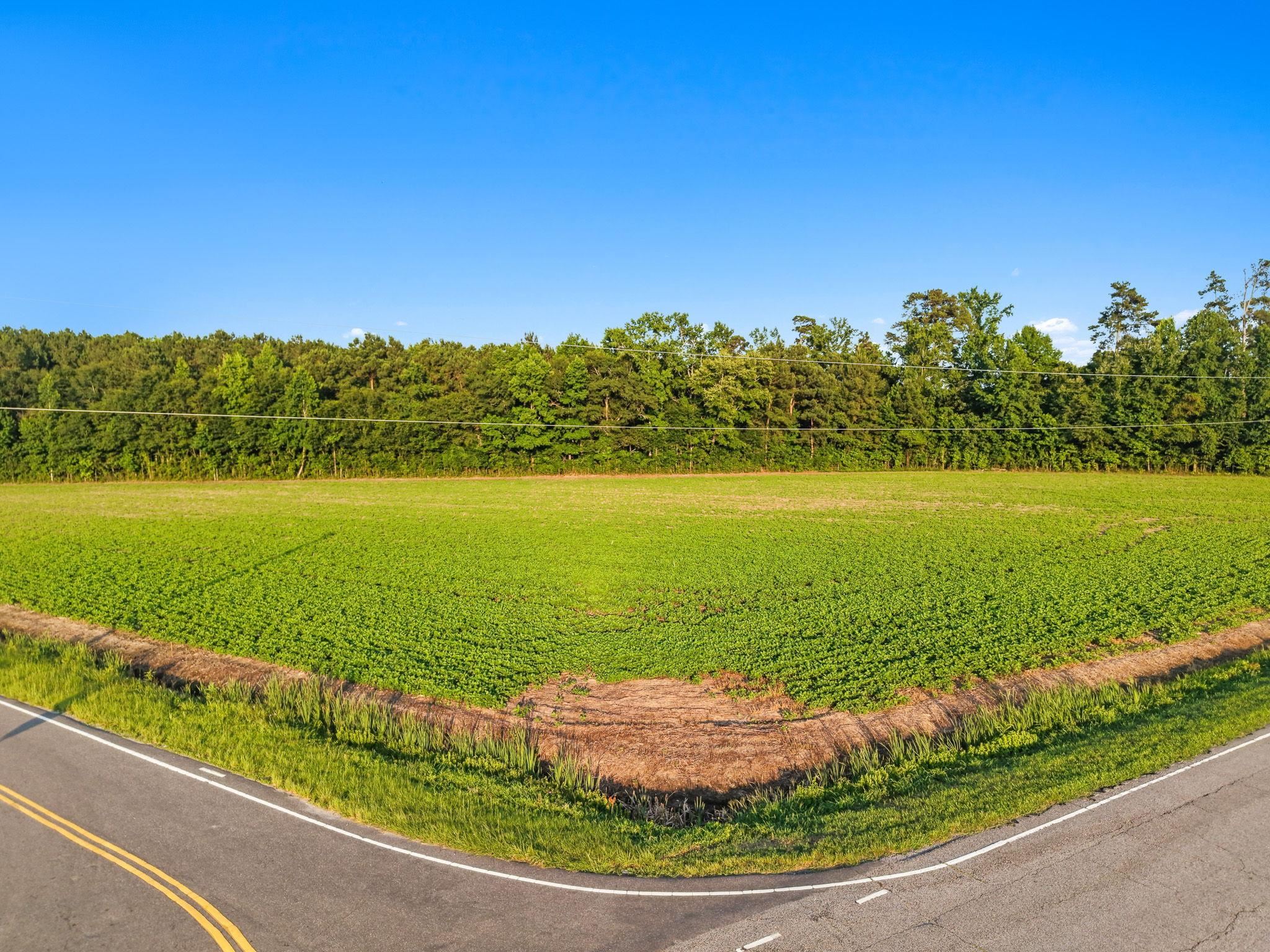 Homes for sale in Nichols