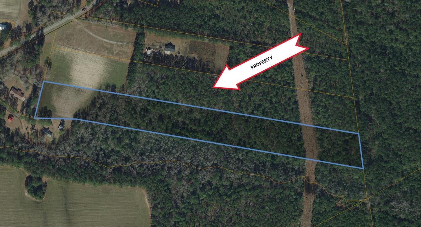 TBD U A Johnson Ln, Galivants Ferry