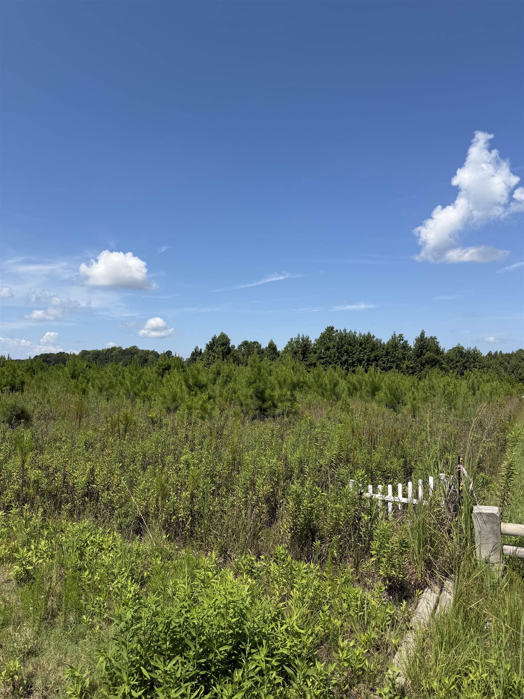 175 Dove Rd., Loris