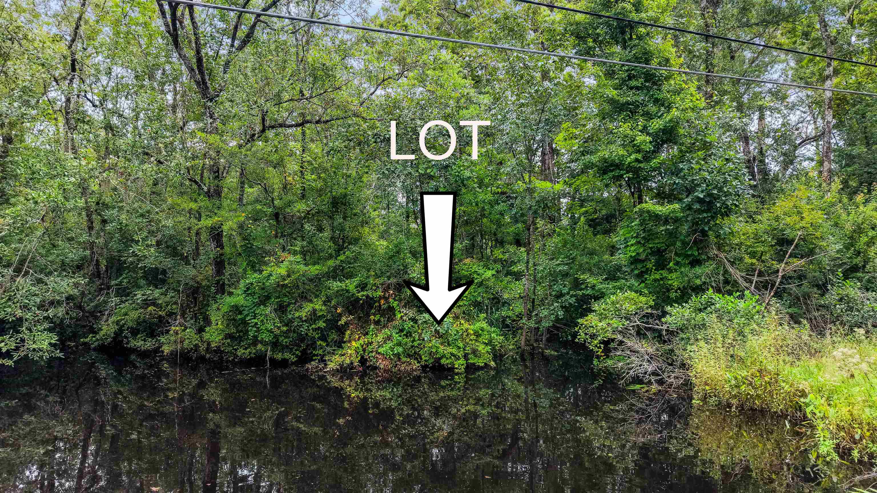 0 Meggett Dr., Georgetown