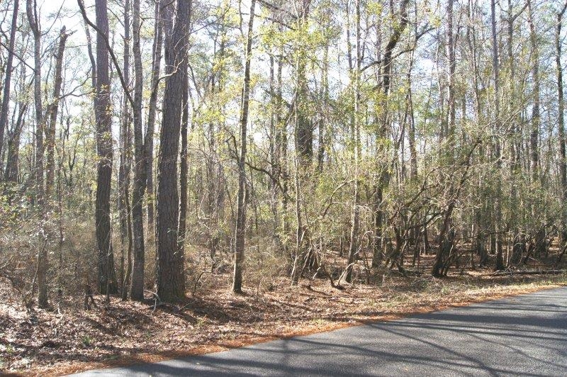 Lot 25 Crow Hill Dr., Georgetown
