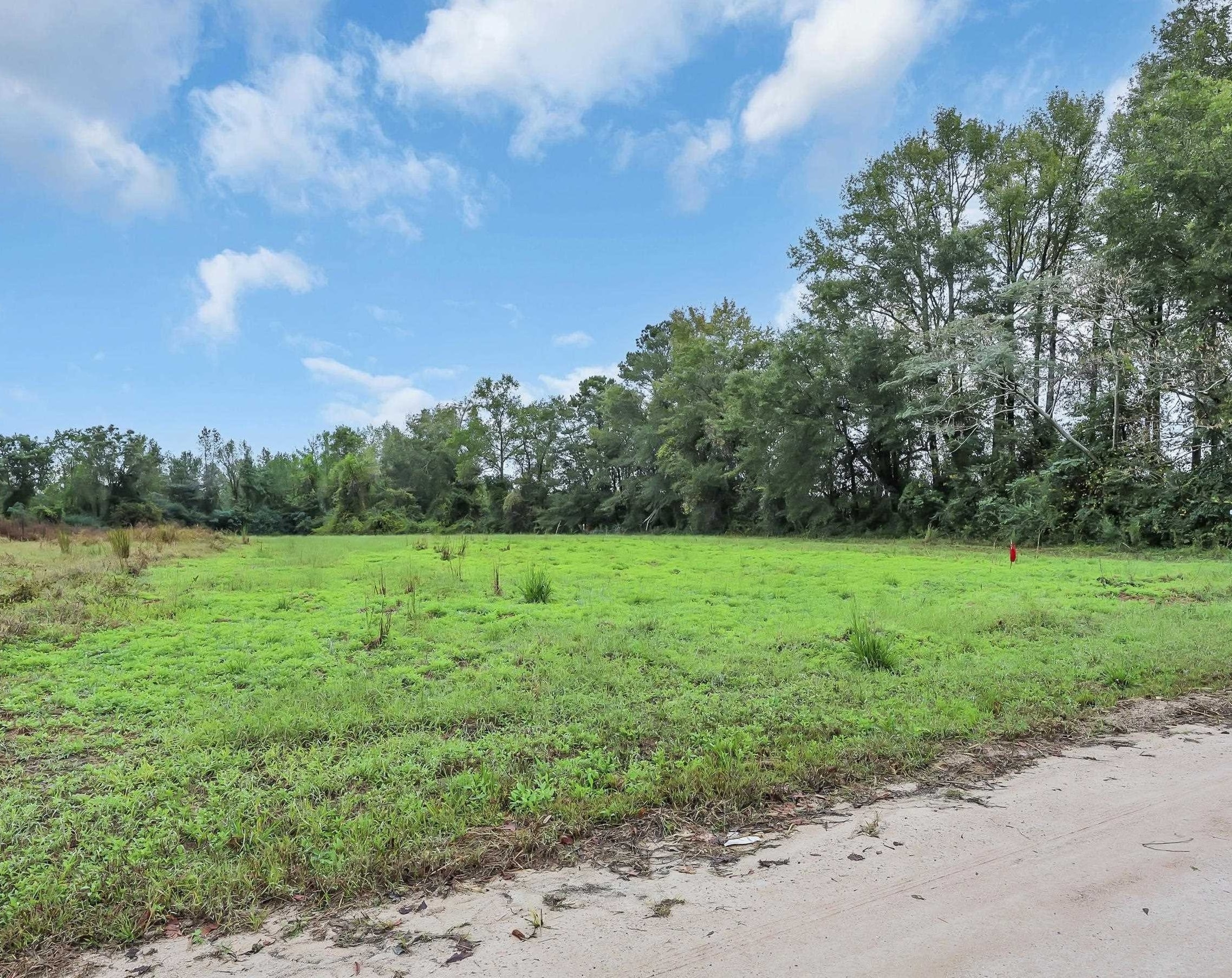 TBD Willow Grove Dr., Loris