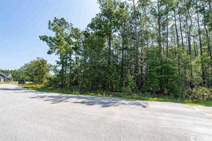 1535 Wilderness Ln., Loris